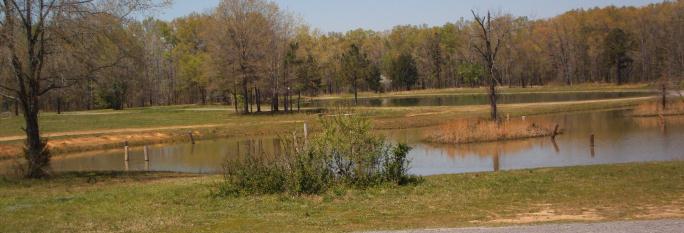 Boone Pond 1