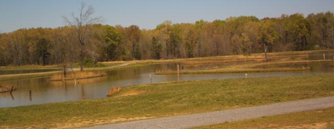 Boone Pond 2