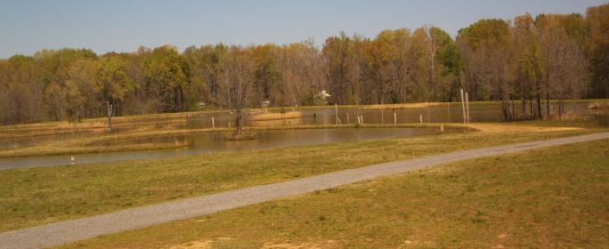 Boone Pond 3